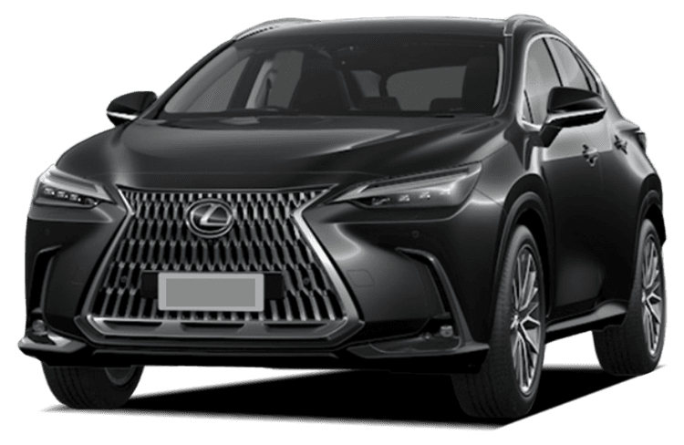 Lexus NX Graphite Black Glass Flake