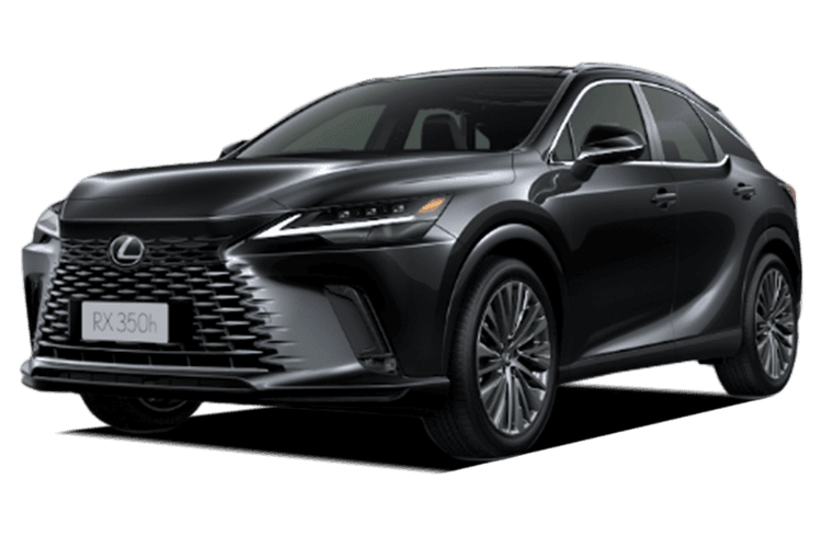 Lexus RX Graphite Black Glass Flake